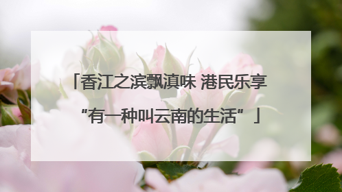 香江之滨飘滇味 港民乐享“有一种叫云南的生活”
