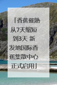 香蕉催熟从7天缩短到3天 新发地国际香蕉集散中心正式启用