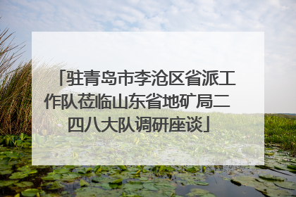 驻青岛市李沧区省派工作队莅临山东省地矿局二四八大队调研座谈