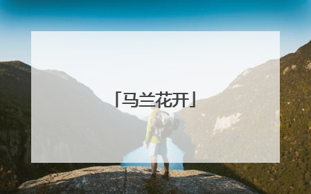 马兰花开