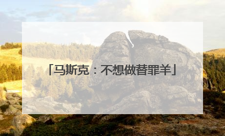 马斯克：不想做替罪羊