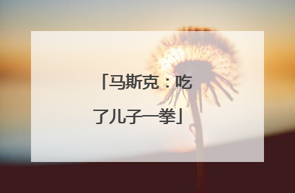 马斯克：吃了儿子一拳