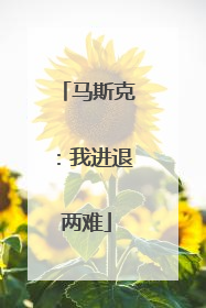 马斯克：我进退两难