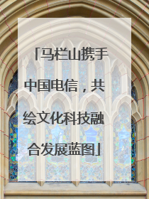 马栏山携手中国电信，共绘文化科技融合发展蓝图