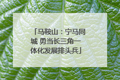 马鞍山：宁马同城 勇当长三角一体化发展排头兵
