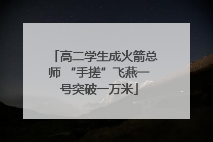 高二学生成火箭总师 “手搓”飞燕一号突破一万米