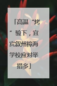 高温“烤”验下，宜宾叙州樟海学校应对举措多