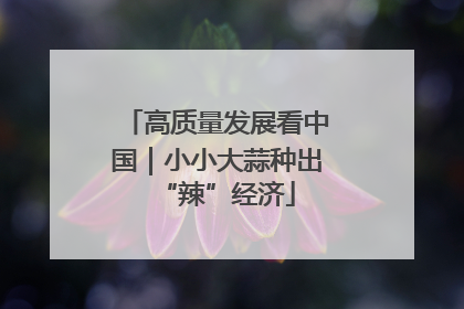 高质量发展看中国｜小小大蒜种出“辣”经济