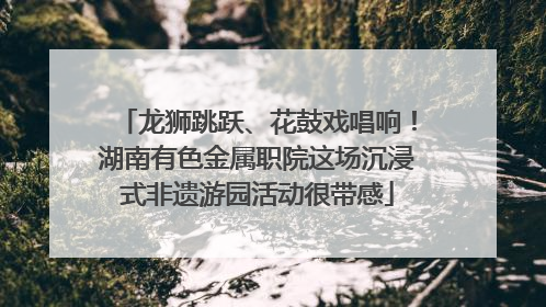 龙狮跳跃、花鼓戏唱响！湖南有色金属职院这场沉浸式非遗游园活动很带感