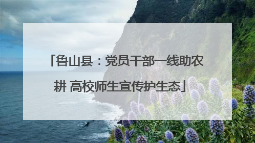 鲁山县：党员干部一线助农耕 高校师生宣传护生态