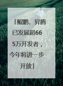 鲲鹏、昇腾已发展超665万开发者，今年将进一步开放