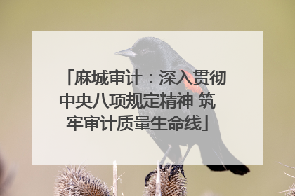 麻城审计：深入贯彻中央八项规定精神 筑牢审计质量生命线