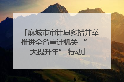 麻城市审计局多措并举推进全省审计机关 “三大提升年” 行动