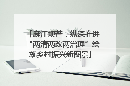 麻江坝芒：纵深推进“两清两改两治理”绘就乡村振兴新图景