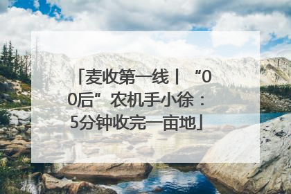 麦收第一线丨“00后”农机手小徐：5分钟收完一亩地