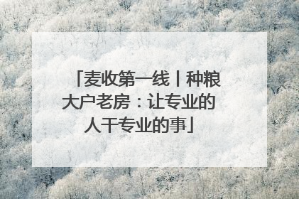 麦收第一线丨种粮大户老房：让专业的人干专业的事