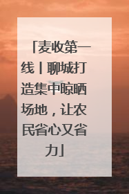 麦收第一线丨聊城打造集中晾晒场地，让农民省心又省力