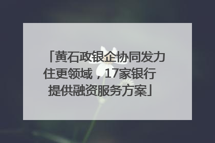 黄石政银企协同发力住更领域，17家银行提供融资服务方案