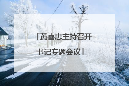 黄喜忠主持召开书记专题会议