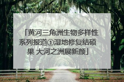 黄河三角洲生物多样性系列报道①湿地修复结硕果 大河之洲展新颜