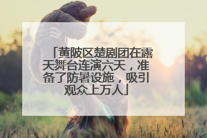 黄陂区楚剧团在露天舞台连演六天，准备了防暑设施，吸引观众上万人