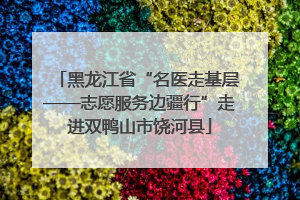 黑龙江省“名医走基层——志愿服务边疆行”走进双鸭山市饶河县