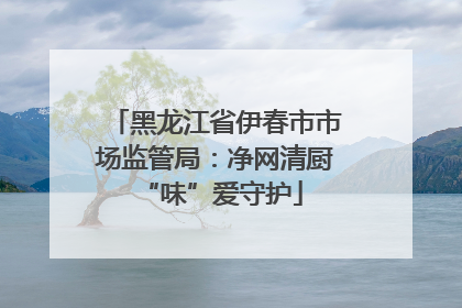 黑龙江省伊春市市场监管局：净网清厨 “味”爱守护