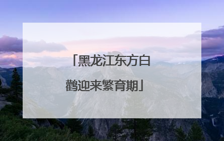 黑龙江东方白鹳迎来繁育期