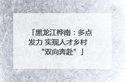 黑龙江桦南：多点发力 实现人才乡村“双向奔赴”