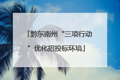 黔东南州“三项行动”优化招投标环境