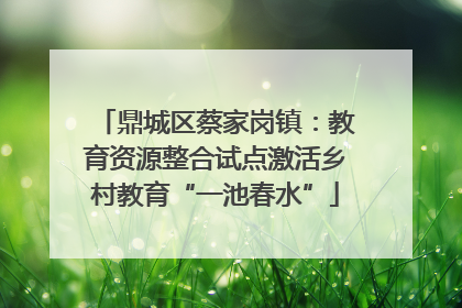 鼎城区蔡家岗镇：教育资源整合试点激活乡村教育“一池春水”