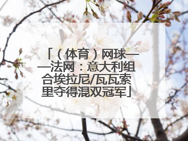 （体育）网球——法网：意大利组合埃拉尼/瓦瓦索里夺得混双冠军
