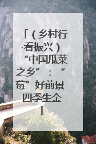 （乡村行·看振兴）“中国瓜菜之乡”：“莓”好前景 四季生金