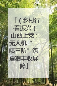 （乡村行·看振兴）山西上党：无人机“一喷三防”筑夏粮丰收屏障