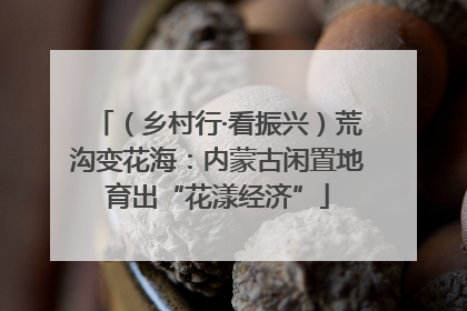 （乡村行·看振兴）荒沟变花海：内蒙古闲置地育出“花漾经济”
