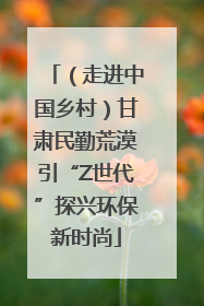 （走进中国乡村）甘肃民勤荒漠引“Z世代”探兴环保新时尚