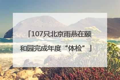 107只北京雨燕在颐和园完成年度“体检”