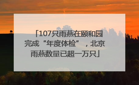 107只雨燕在颐和园完成“年度体检”，北京雨燕数量已超一万只