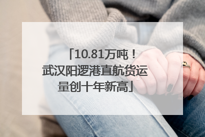 10.81万吨！武汉阳逻港直航货运量创十年新高