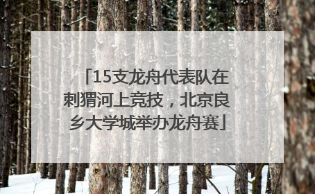 15支龙舟代表队在刺猬河上竞技，北京良乡大学城举办龙舟赛