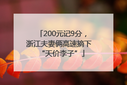 200元记9分，浙江夫妻俩高速摘下“天价李子”