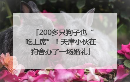 200多只狗子也“吃上席”！天津小伙在狗舍办了一场婚礼