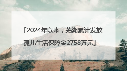 2024年以来，芜湖累计发放孤儿生活保障金2758万元
