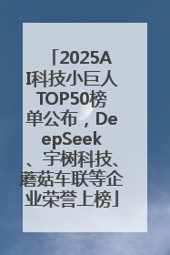 2025AI科技小巨人TOP50榜单公布，DeepSeek、宇树科技、蘑菇车联等企业荣誉上榜