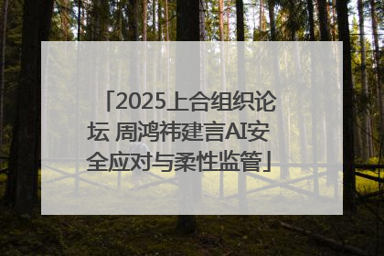 2025上合组织论坛 周鸿祎建言AI安全应对与柔性监管
