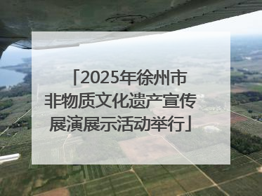 2025年徐州市非物质文化遗产宣传展演展示活动举行