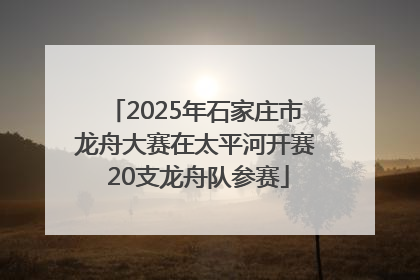 2025年石家庄市龙舟大赛在太平河开赛 20支龙舟队参赛