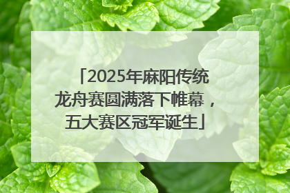 2025年麻阳传统龙舟赛圆满落下帷幕，五大赛区冠军诞生