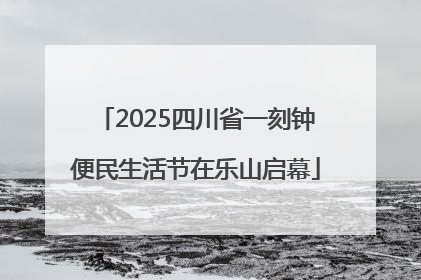 2025四川省一刻钟便民生活节在乐山启幕