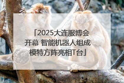 2025大连服博会开幕 智能机器人组成模特方阵亮相T台